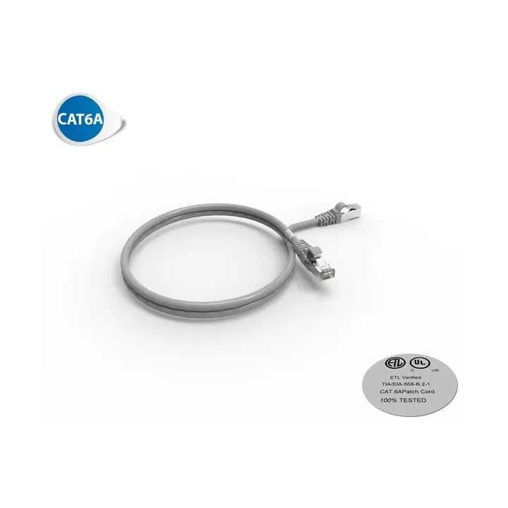 Cordon Rj45 Cat6A Sftp 100Ohms Lsoh Surmoule Gris Lg 1M