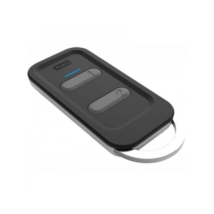 Telecommande 2 Canaux Power Design
