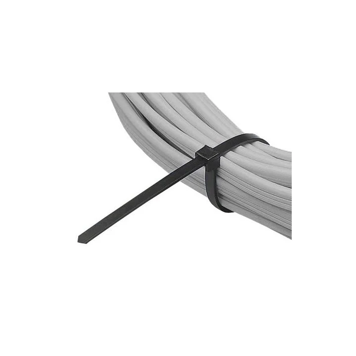 Collier Rilsan 4 8X300Mm Noir Le Sachet De 100