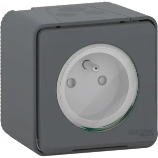 Mureva Styl - Prise Courant 2P+T - Saillie - Ip55 - Ik08 - Connexion Auto - Gris