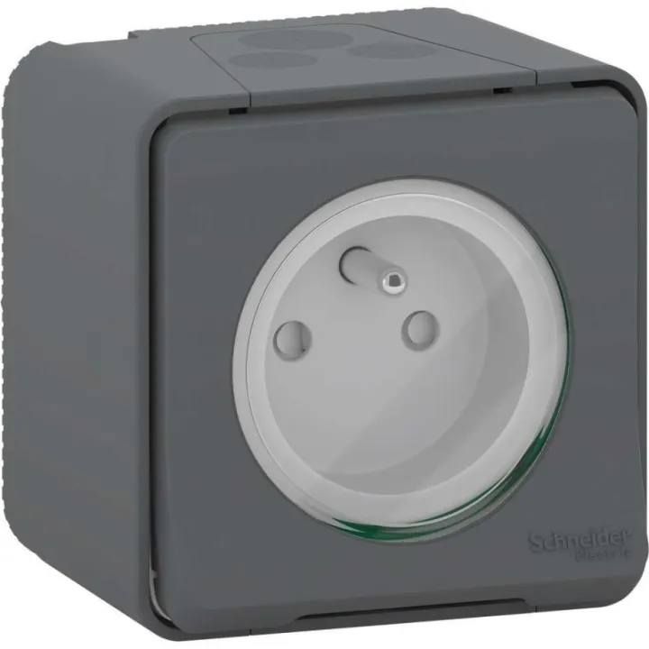 Mureva Styl - Prise Courant 2P+T - Saillie - Ip55 - Ik08 - Connexion Auto - Gris