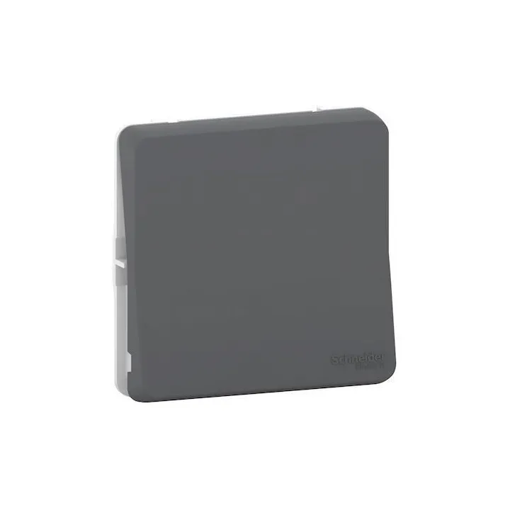 Mureva Styl - Va Et Vient - Composable - Ip55 - Ik08 - Connexion Auto - Gris