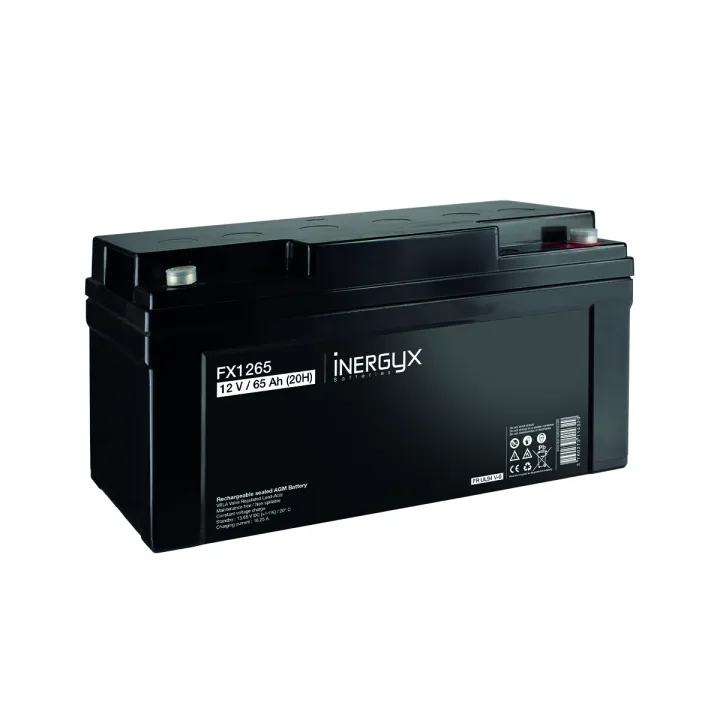 Batterie Rechargeable Vrla 12V / 65 Ah - Bac Fr Ul94 V-0 - 350 X 167 X 178 Mm