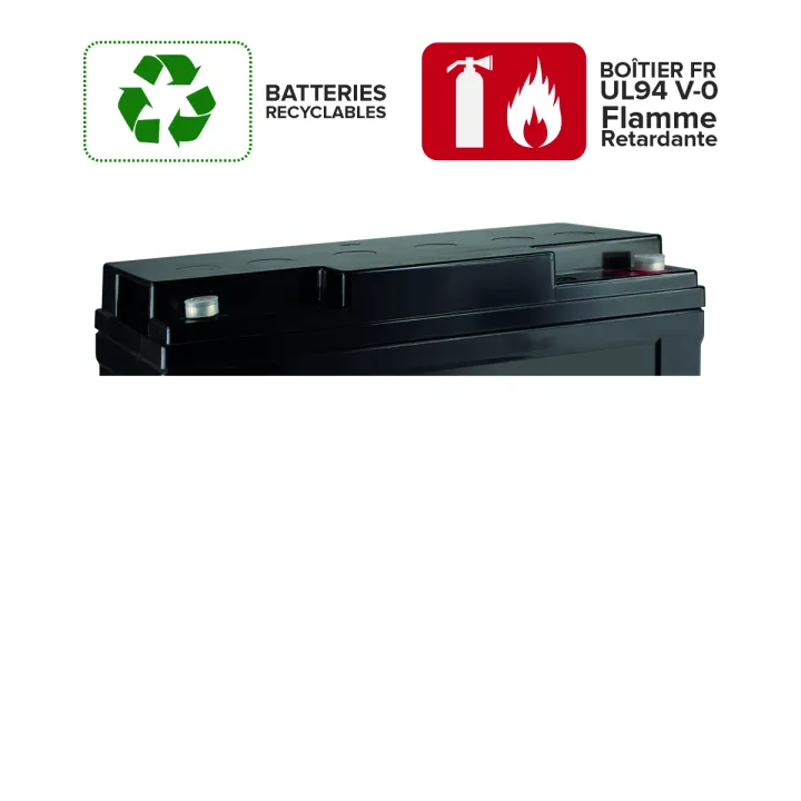 Batterie Rechargeable Vrla 12V / 65 Ah - Bac Fr Ul94 V-0 - 350 X 167 X 178 Mm