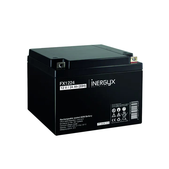 Batterie Rechargeable Vrla 12V / 24 Ah - Bac Fr Ul94 V-0 - 165 X 177 X 126 Mm