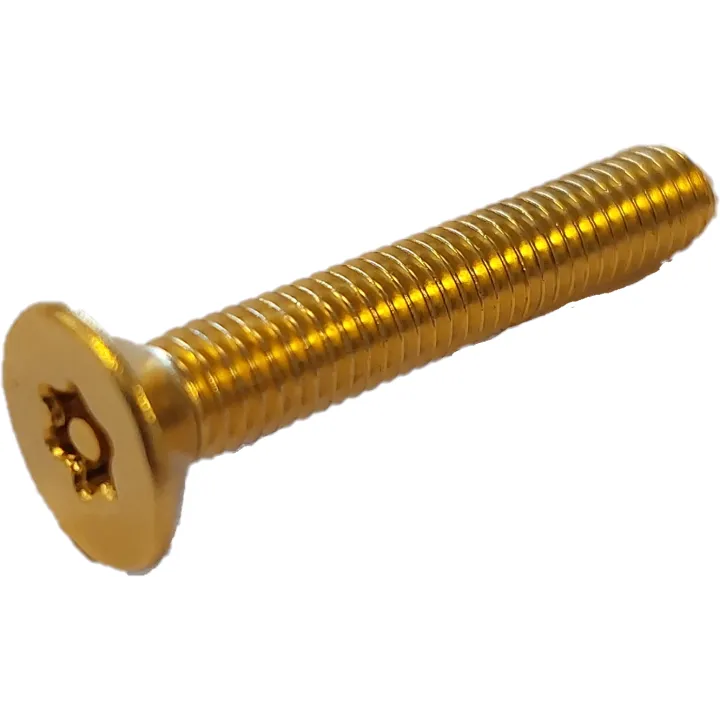 Lot De 6 Vis Tfx 5X30 A Teton Doree pour systèmes URMET