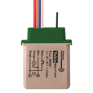 Televariateur Radio 500W Power