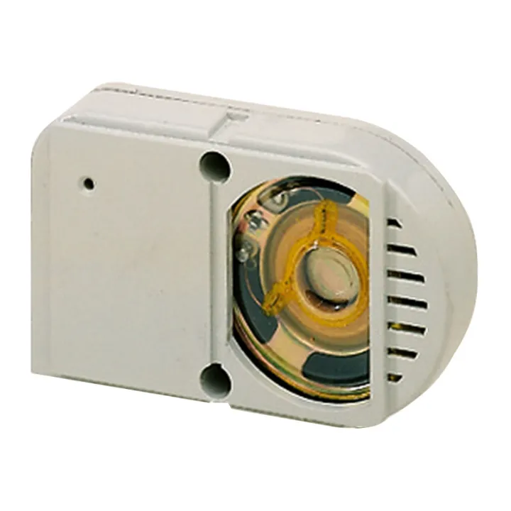 Module Micro Hp Pour Platine De Rue Série 600