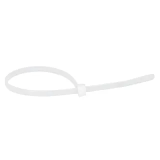 Collier Colring Incolore Denture Intérieure Largeur 3,5 Et Longueur À Plat 180Mm