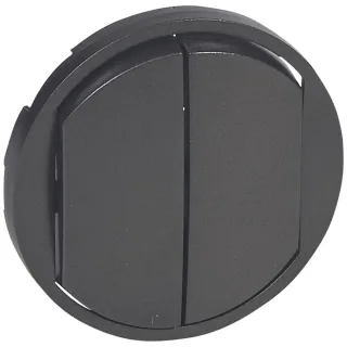 Enjoliveur Large Céliane Double Interrupteur, Va-Et-Vient Ou Poussoir - Graphite