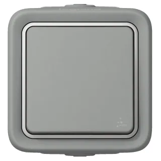 Interrupteur Ou Va-Et-Vient Étanche Plexo Complet Ip55 Saillie 10Ax 250V