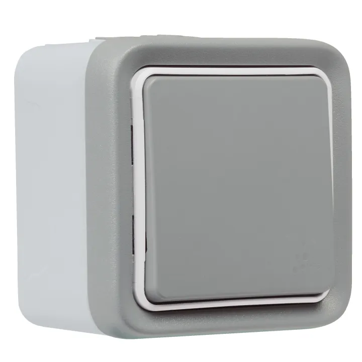 Interrupteur Ou Va-Et-Vient Étanche Plexo Complet Ip55 Saillie 10Ax 250V