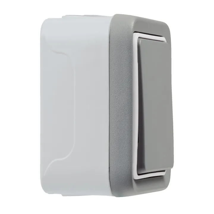 Interrupteur Ou Va-Et-Vient Étanche Plexo Complet Ip55 Saillie 10Ax 250V