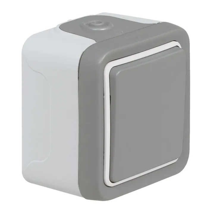 Interrupteur Ou Va-Et-Vient Étanche Plexo Complet Ip55 Saillie 10Ax 250V