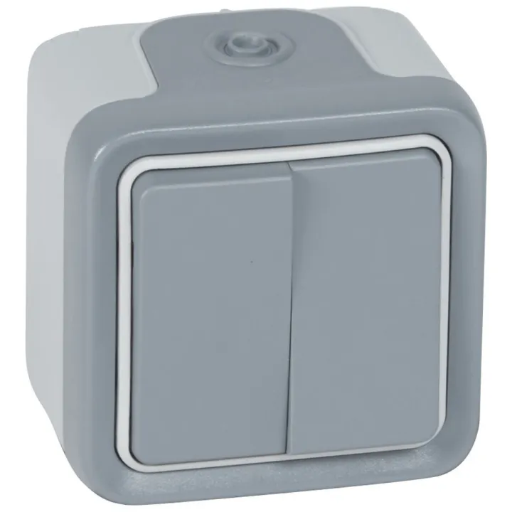 Double Interrupteur Ou Va-Et-Vient Étanche Plexo Complet Ip55 Saillie - Gris