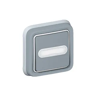 Poussoir Inverseur Étanche Lumineux Porte-Étiquette Plexo Ip55 Encastré - Gris