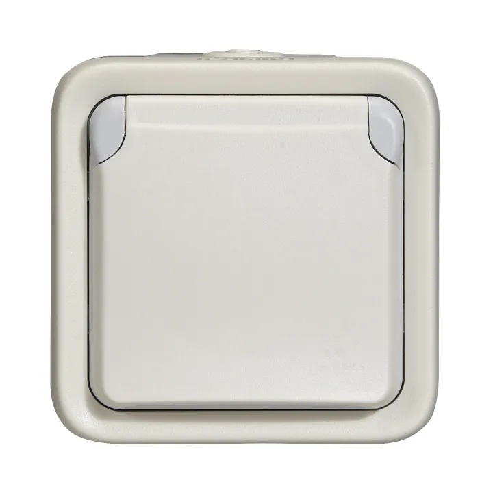 Prise De Courant Étanche Volet De Protection Ip55 Plexo Complet Saillie - Blanc