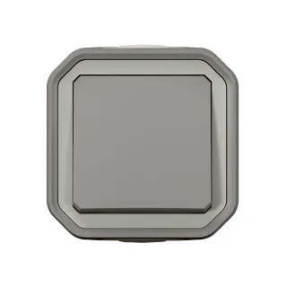 Interrupteur Ou Va-Et-Vient Plexo Complet Saillie - Gris Brochable