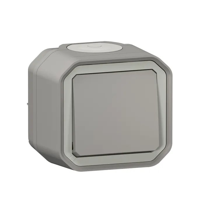 Interrupteur Ou Va-Et-Vient Plexo Complet Saillie - Gris Brochable