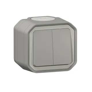 Double Interrupteur / Va-Et-Vient Ou Poussoir Plexo Complet Saillie - Gris