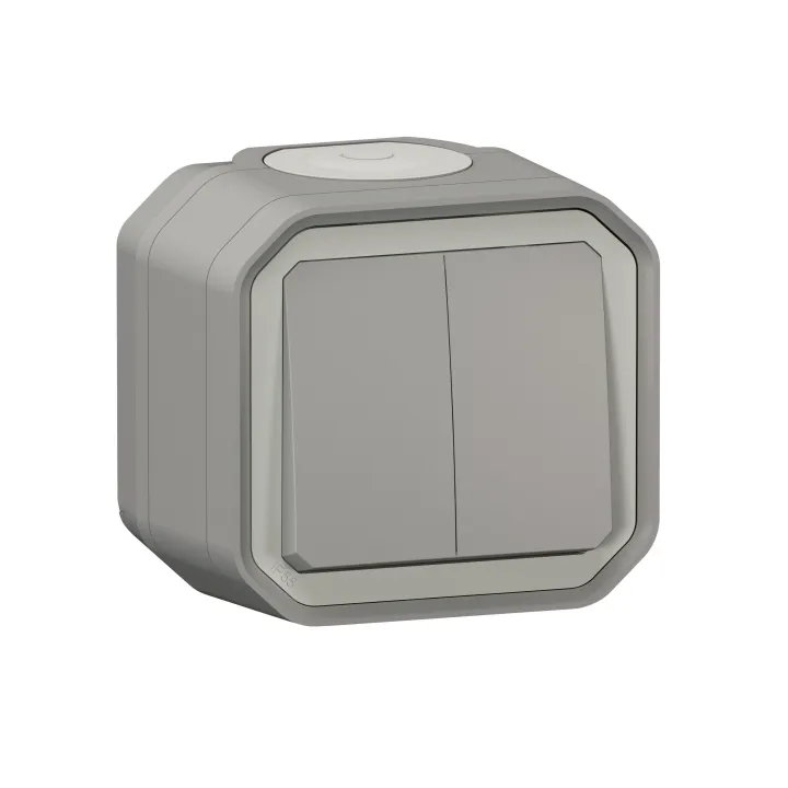 Double Interrupteur / Va-Et-Vient Ou Poussoir Plexo Complet Saillie - Gris