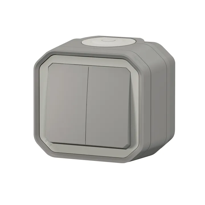 Double Interrupteur / Va-Et-Vient Ou Poussoir Plexo Complet Saillie - Gris