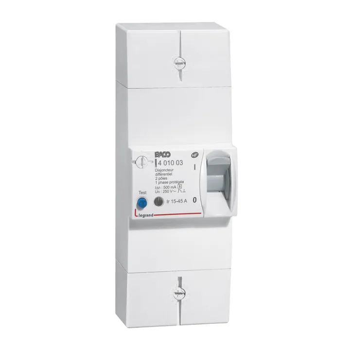 Disjoncteur De Branchement Enedis Bipolaire Différentiel 500Ma Sélectif - 45A