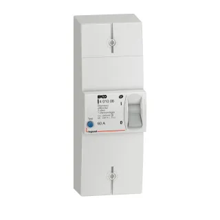 Disjoncteur Branchement Enedis 2P Différentiel 500Ma Sélectif 60A Non Réglable