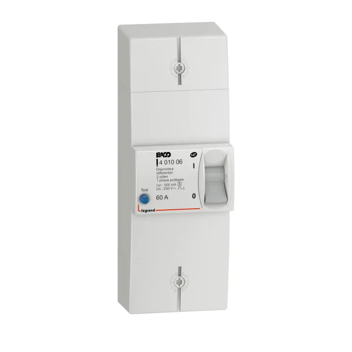 Disjoncteur Branchement Enedis 2P Différentiel 500Ma Sélectif 60A Non Réglable