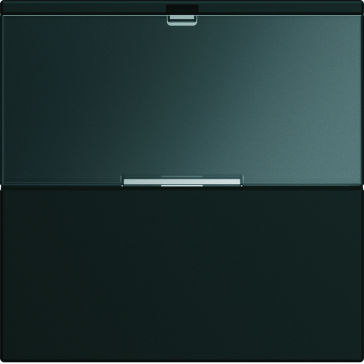 Enjoliveur Gallery Interrupteur Avec Porte Étiquette 2 Module , Finition Night