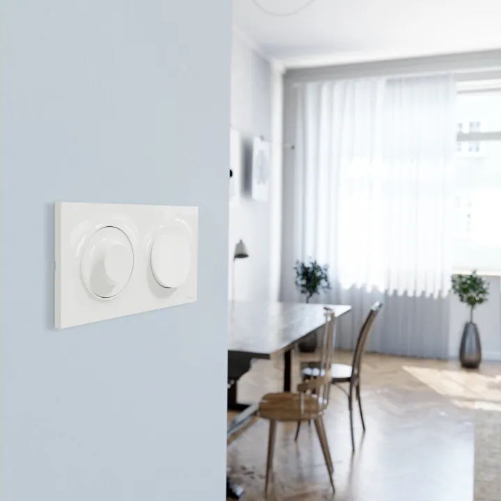 Odace Styl - Plaque 2 Postes Horizontaux Ou Verticaux Entraxe 71Mm Blanc