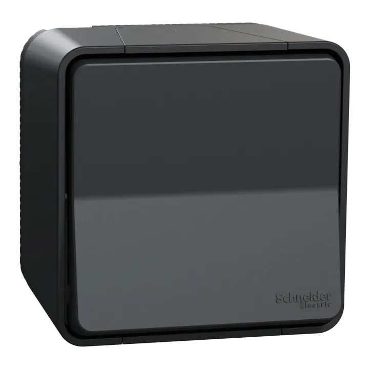 Mureva Styl - Bouton Poussoir - Saillie - Ip55 - Ik08 - Connexion Auto - Gris