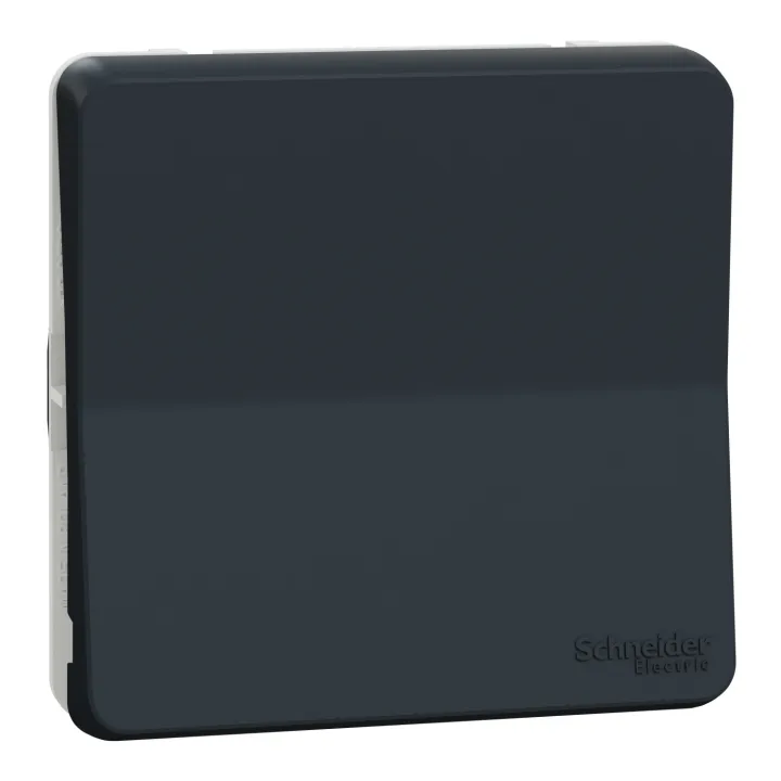 Mureva Styl - Va Et Vient - Composable - Ip55 - Ik08 - Connexion Auto - Gris