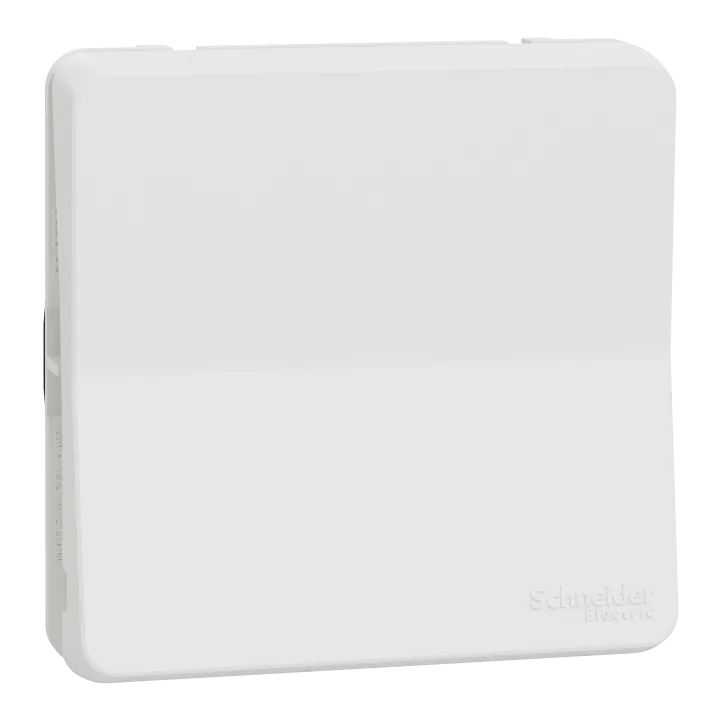 Mureva Styl - Va Et Vient - Composable - Ip55 - Ik08 - Connexion Auto - Blanc