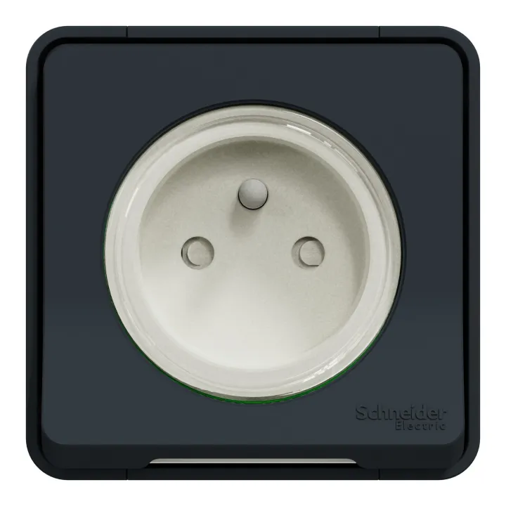 Mureva Styl - Prise Courant 2P+T - Saillie - Ip55 - Ik08 - Connexion Auto - Gris