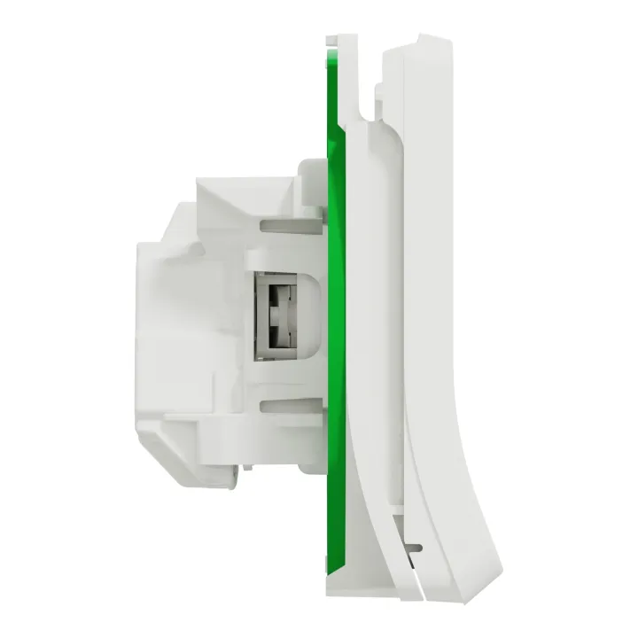 Mureva Styl - Prise Courant 2P+T - Composable - Ip55 Ik08 - Connex Auto - Blanc