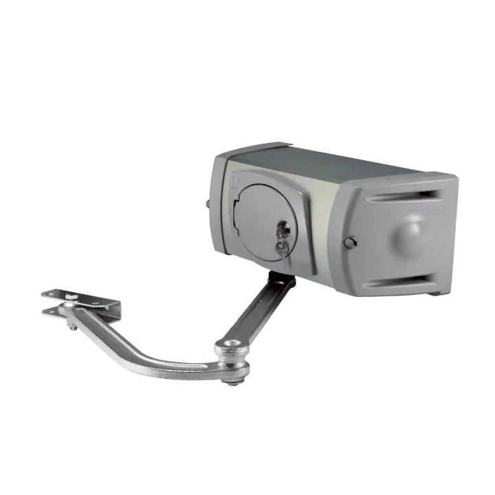 Motoréducteur Ferni Irréversible En 230V Rapide+Encodeur