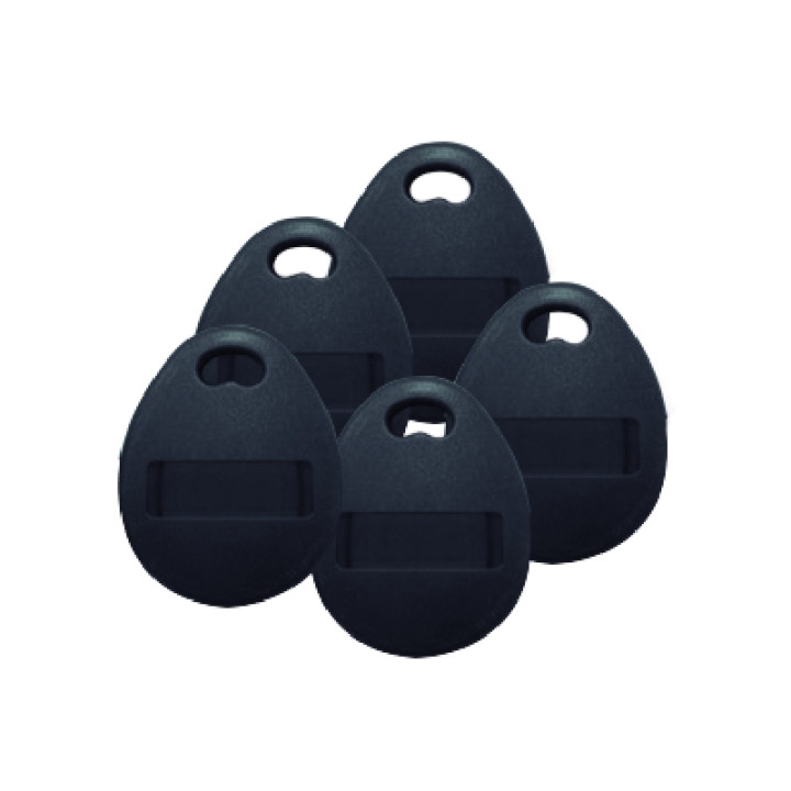 Lot De 5 Badges De Proximité Format Porte Clés 125 Khz Pour Kit