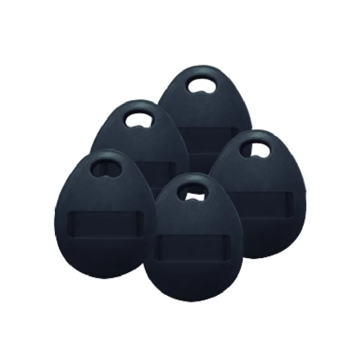 Lot De 5 Badges De Proximité Format Porte Clés 125 Khz Pour Kits Vidéo Soul