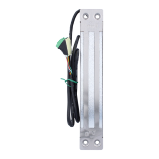 VENTOUSE INOX ENCASTRÉE 300 KG 12/24 V DC + SIGNAL