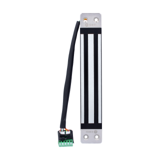 VENTOUSE ENCASTRÉE 300 KG 12/24 V DC + SIGNAL-NFS 61-937 (*)