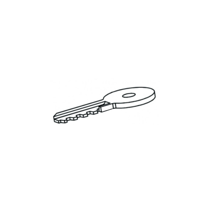 cle standard  (lot de 10)