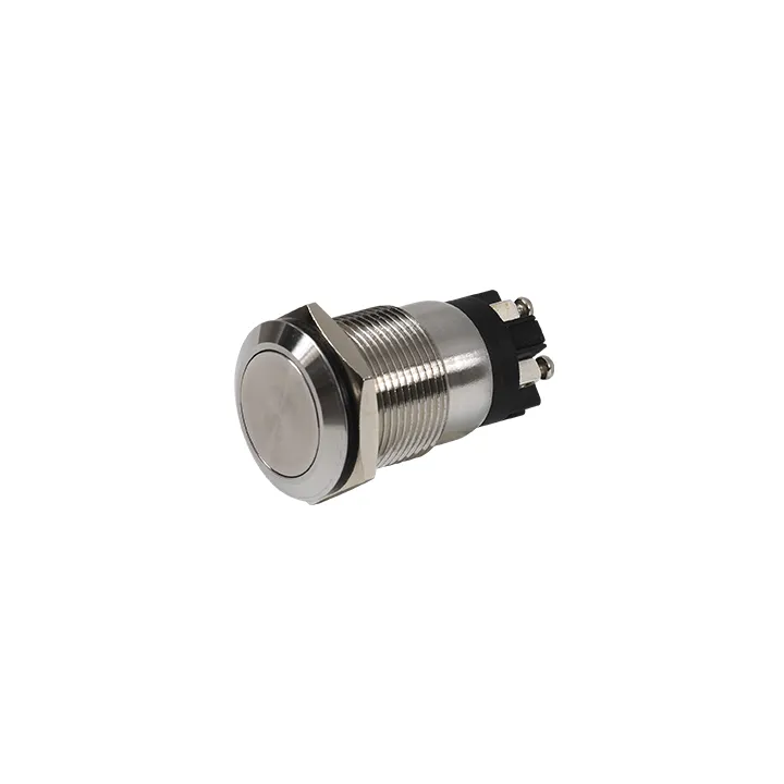 Bouton Poussoir Inox 19 Mm, No+Nc, Bornier À Vis
