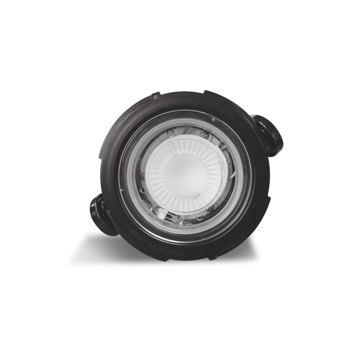 Downlight HECTOR, IP65,CCT changing,encastr. Ø68mm,finition noir