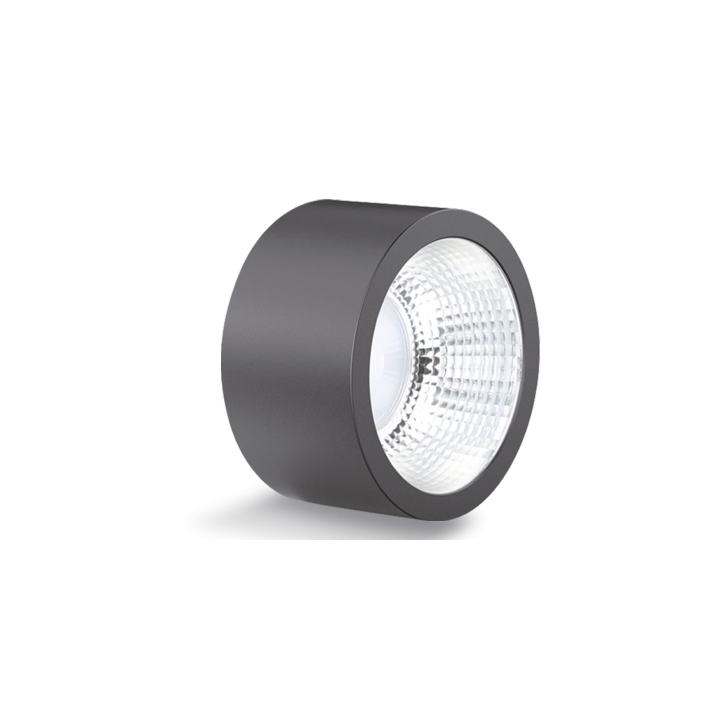 SPEQTRIS Downlight SUNSET 13W CCT changing