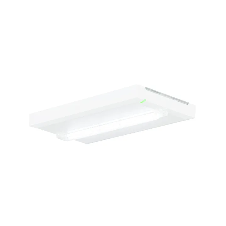 Eclairage De Secour Baes Ambiance Sati - 400 Lm/1H - Ip43 Ik07 - Design Épuré - Diffusion Uniforme