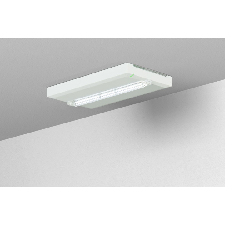 ULTRALED 2-Bloc ambiance SATI-400 lumens-IP43 IK07.NF ENVIRON(D