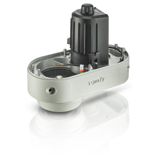 Moteur Seul Axovia Multipro Gris Rts/Io - Sav