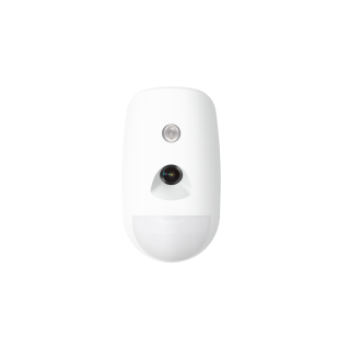 Ds-Pd501Pc12O-Std