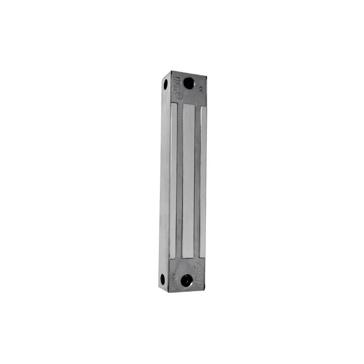 Ventouse Inox Applique 180 Kg 12/24 V Dc + Signal
